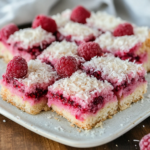 Raspberry Coconut Squares (Keto Low Carb)